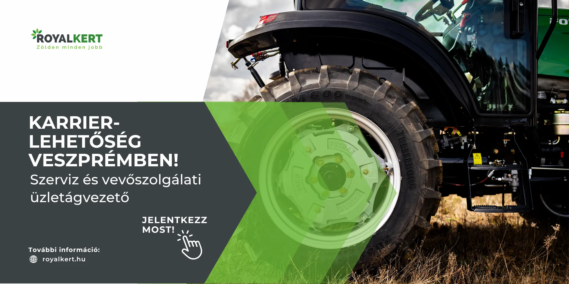 szeviz és vevőszolgálati üzletágvezető álláshirdetés Veszprém