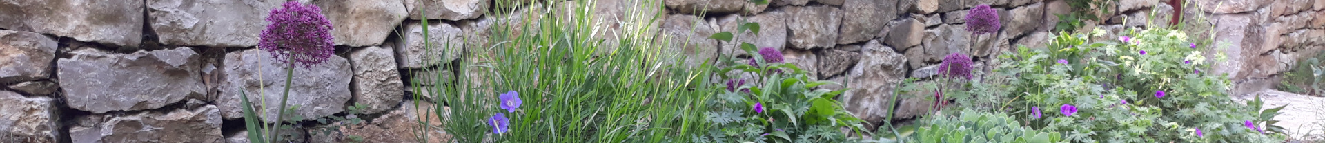 „Virágos balkonok, virágos kertek” verseny