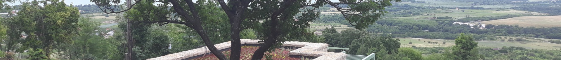 Zöldtető zöld domboldalban