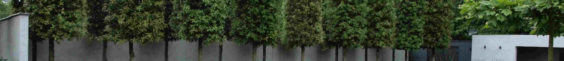 Kertünk alaptartozékai – A FÁK