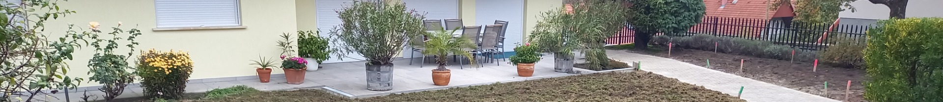 Kicsi kert, messze innen