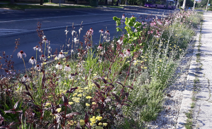 Az önfenntartó kert