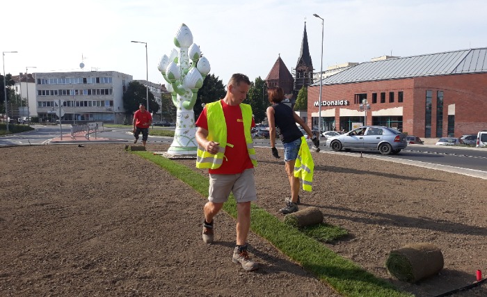 Azonnali eredmény gyepszőnyeggel