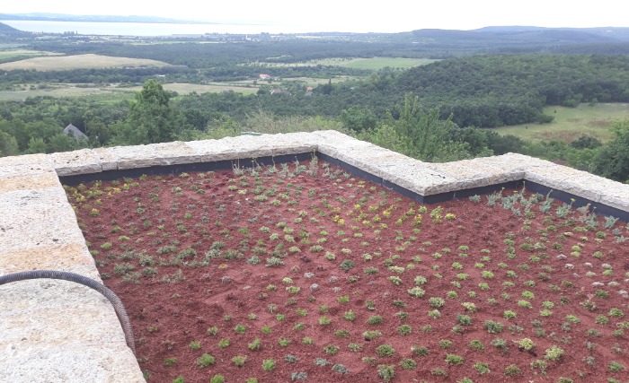 Zöldtető zöld domboldalban