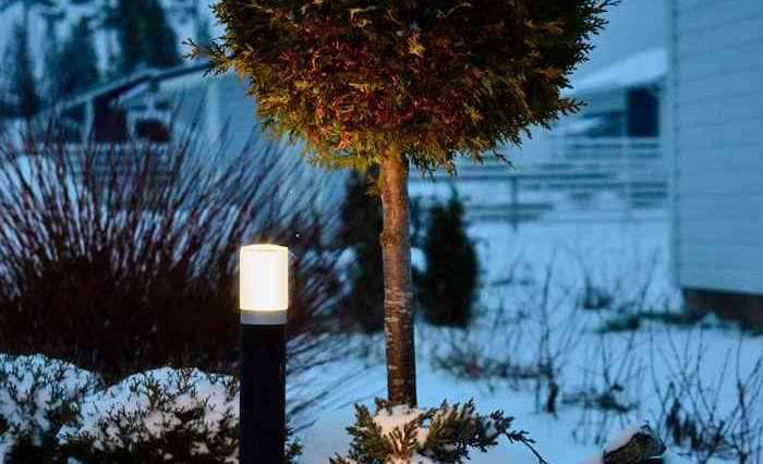 Karácsonyi fények a kertben