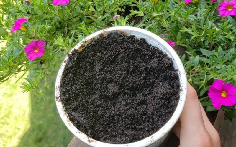Garden-coffee-grounds-1024x1024