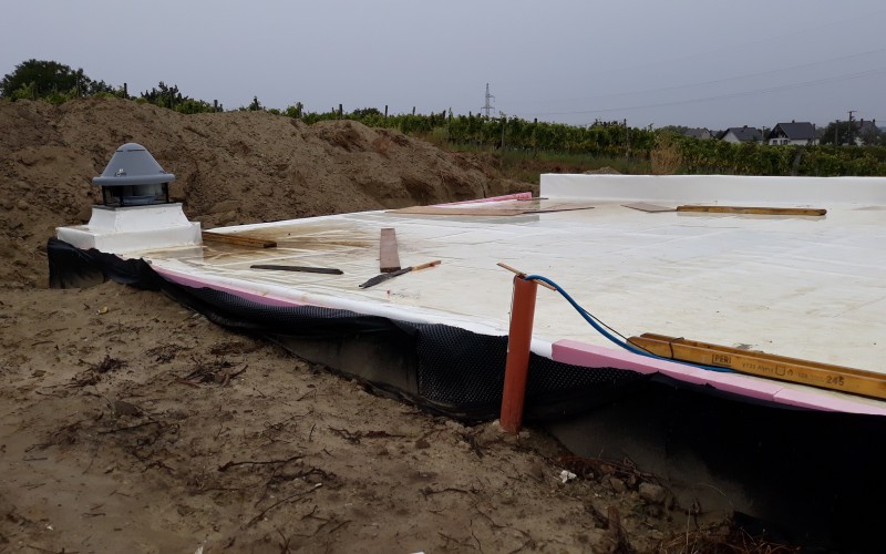 Intenzív zöldtető