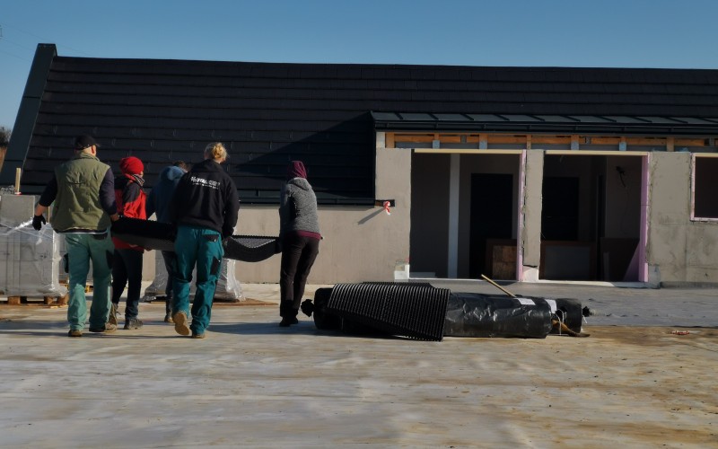 Intenzív zöldtető