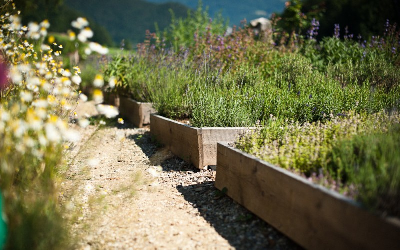 Kertészeti trendek 2021