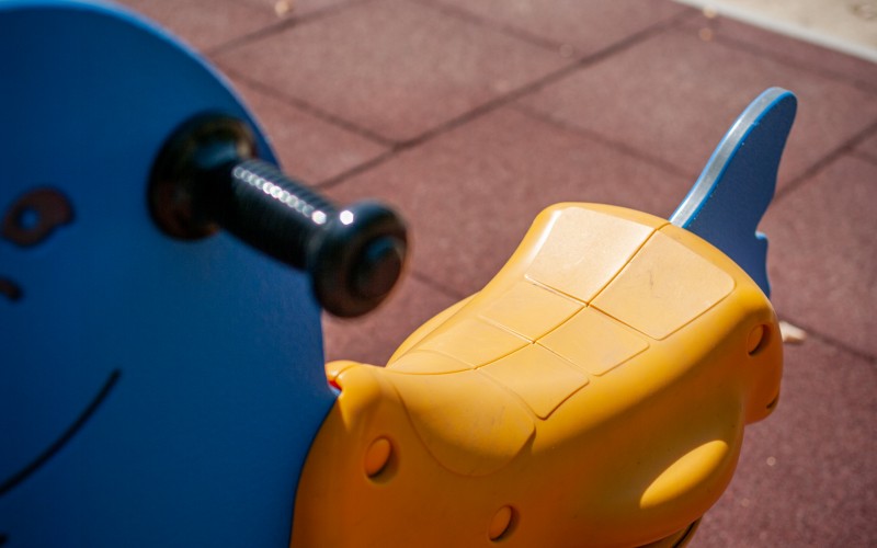 rugós delfin közeli