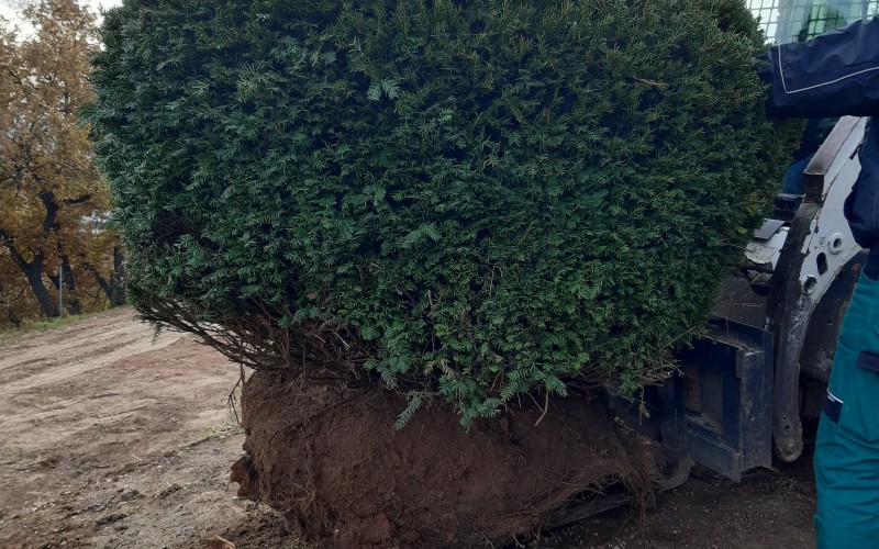 Kis lépések egy nagy kertben