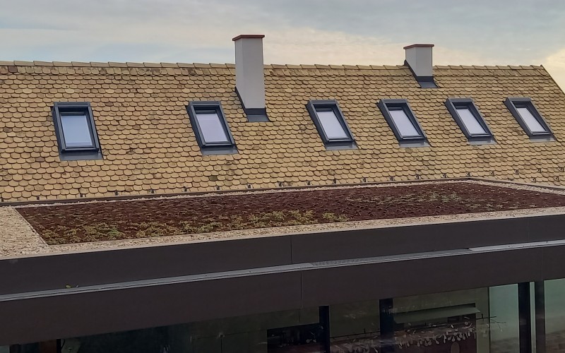 Kis lépések egy nagy kertben