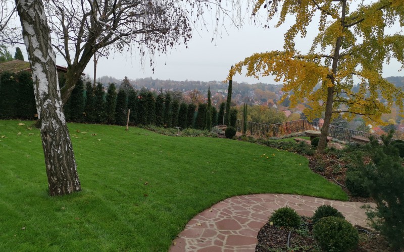 Kis lépések egy nagy kertben