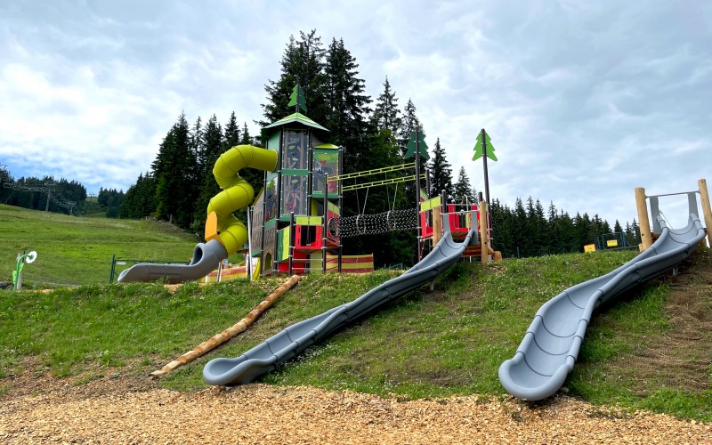 MEGA_1404_MOD_Robinia_Play_8159_8160_SINGLE_4075_photo_Slovakia