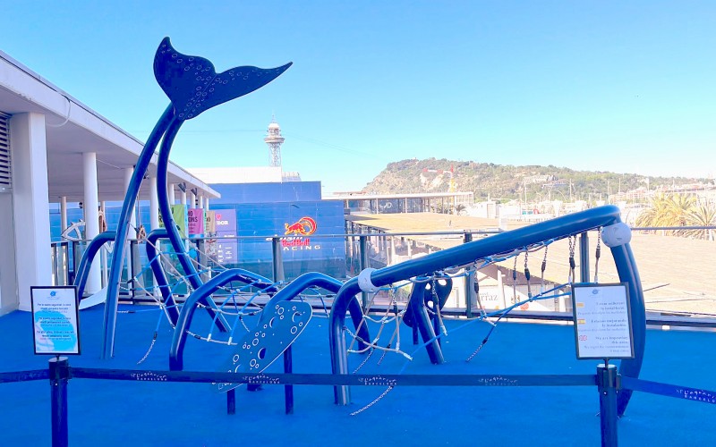 Organiq_9304_Whale_Spain_Barcelona_photo_Happyludic