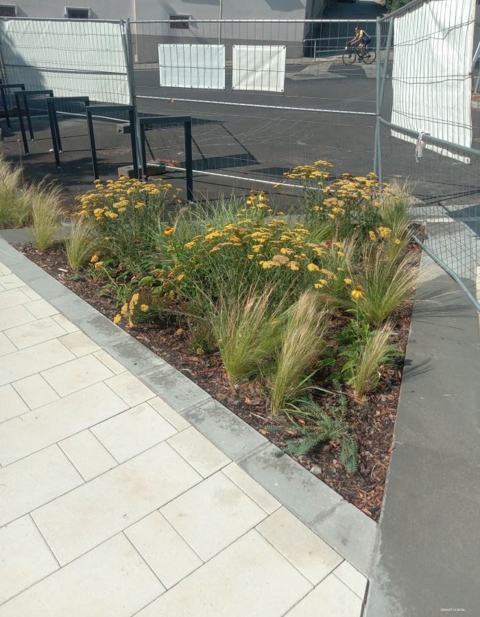 IMG_20240712_092649_697