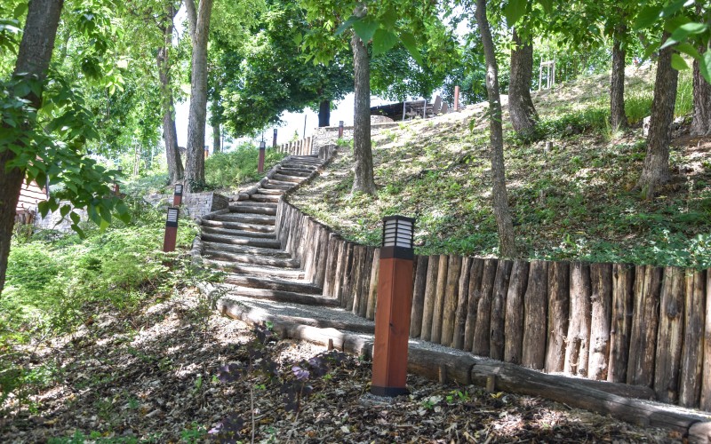 Akác-cölöp támfal