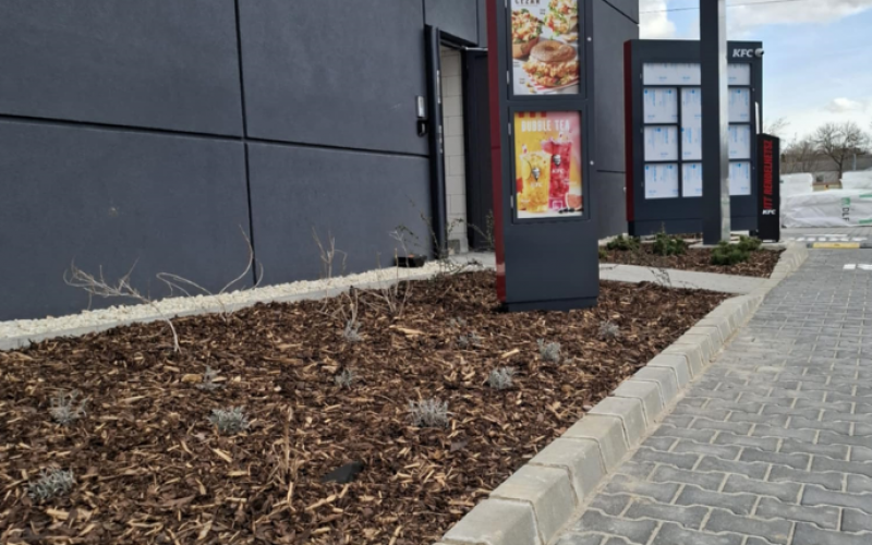 KFC referencia fotók (1)