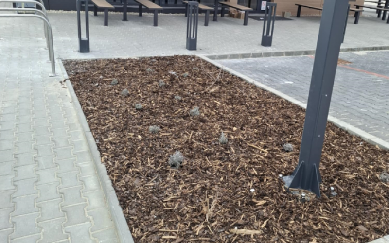 KFC referencia fotók