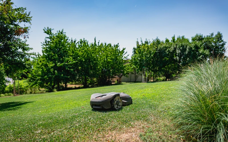 Kerttervezés és kivitelezés - robotfűnyíró-barát kert