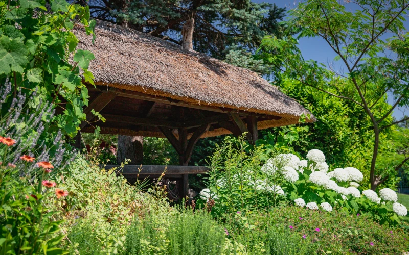 Kerttervezés és kivitelezés - robotfűnyíró-barát kert