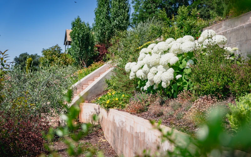 Kerttervezés és kivitelezés - robotfűnyíró-barát kert