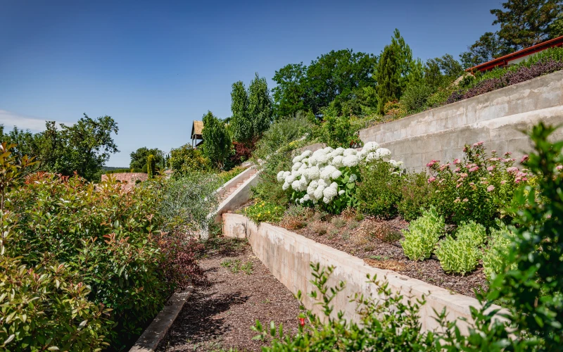 Kerttervezés és kivitelezés - robotfűnyíró-barát kert