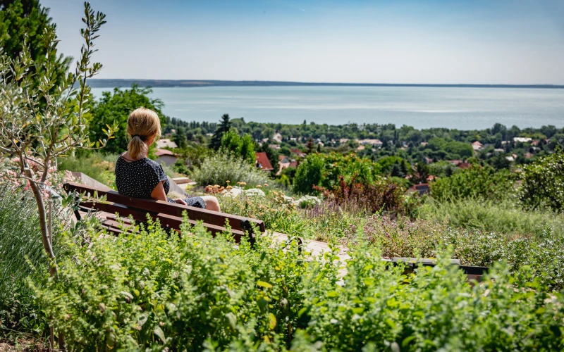 Kerttervezés és kivitelezés - robotfűnyíró-barát kert