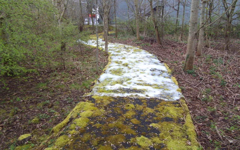 Foamstream működés közben és hatékonyság (30)