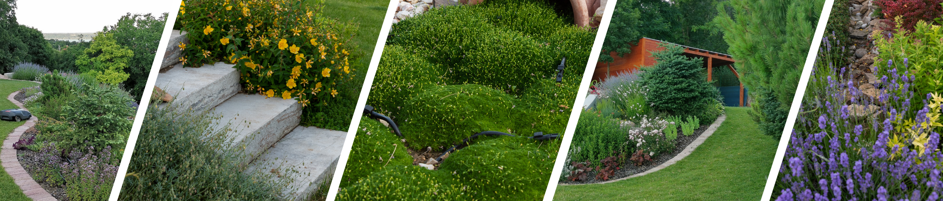 Kertépítés kategóriák10