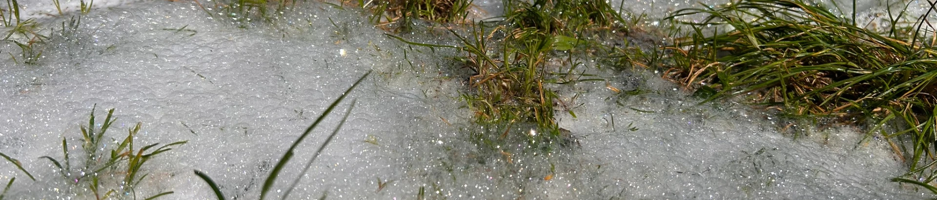 Foamstream gyomirtás