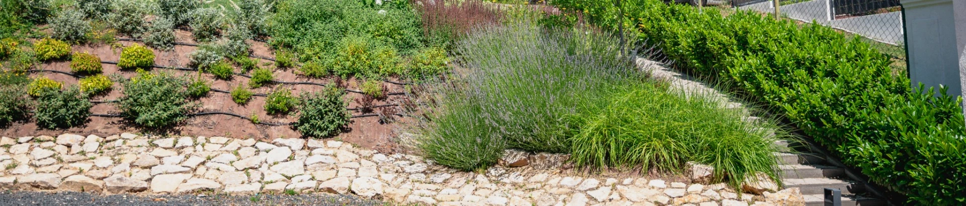 KERT, PARK főoldal2