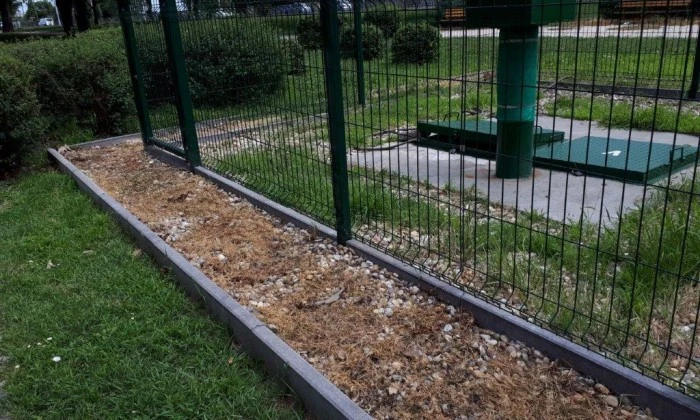 Foamstream-vegyszermentes gyomirtás eredménye