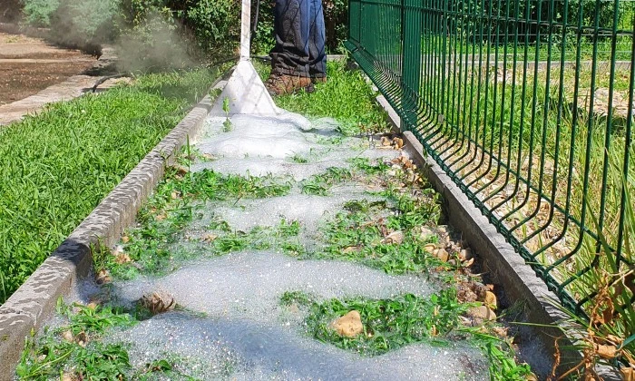 Foamstream-vegyszermentes gyomirtás