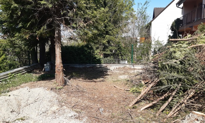 Veszprém – Kis kert, új kilátásokkal