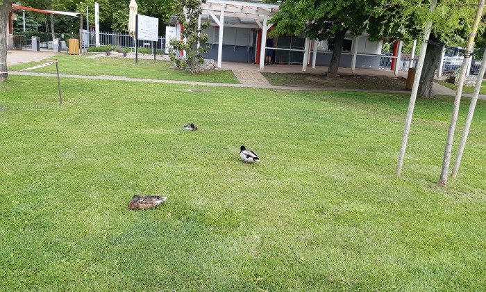 Csopak - Bővült, szépült a strand