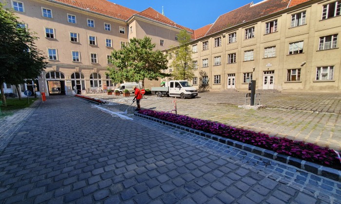 Foamstream - vegyszermentes gyomirtás