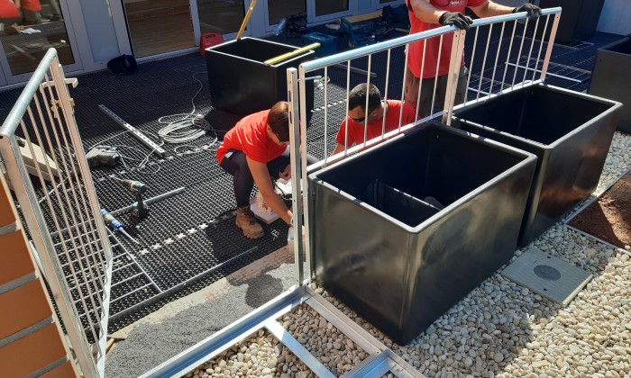 Veszprém- Zöldtető korlátrendszerrel