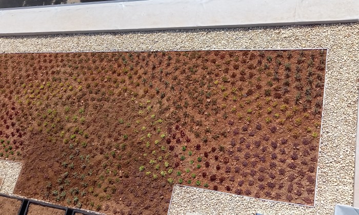 Veszprém- Zöldtető korlátrendszerrel