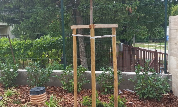 Nyaraló a családnak