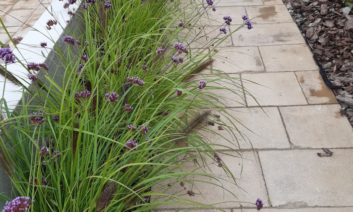 Nyaraló a családnak