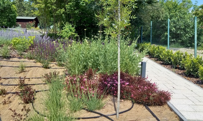 Alsóörs- újdonságok kertje