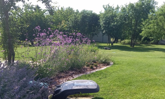 Alsóörs- újdonságok kertje