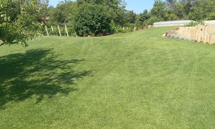 Alsóörs- újdonságok kertje