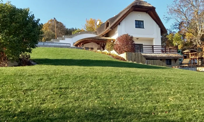 Alsóörs- újdonságok kertje