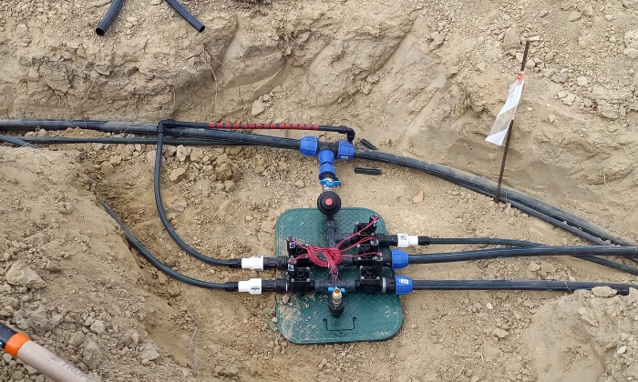 Alsóörs- újdonságok kertje