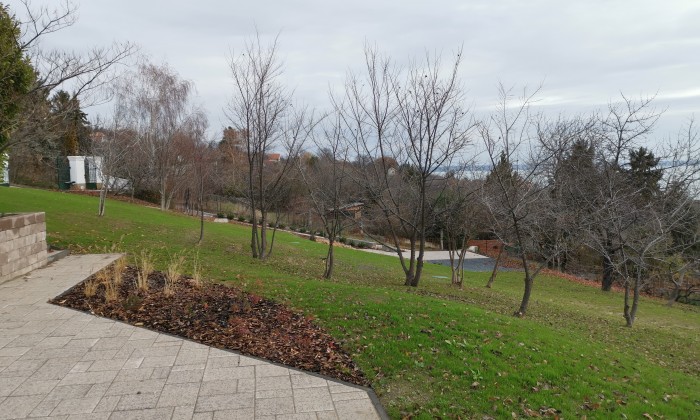 Alsóörs- újdonságok kertje