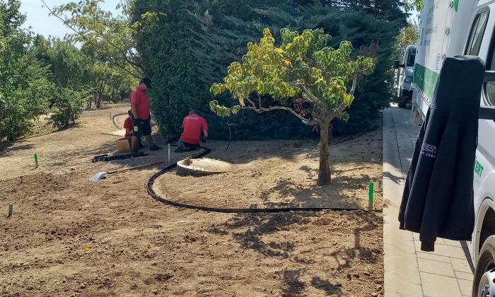 Alsóörs- újdonságok kertje