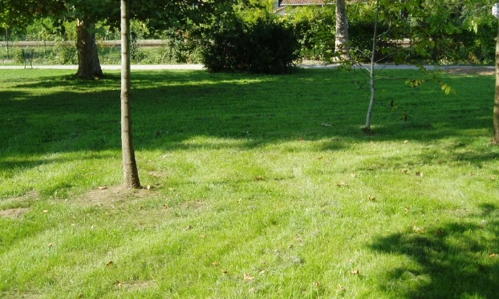 Balatonalmádi Öregpark - parkszépítés_0