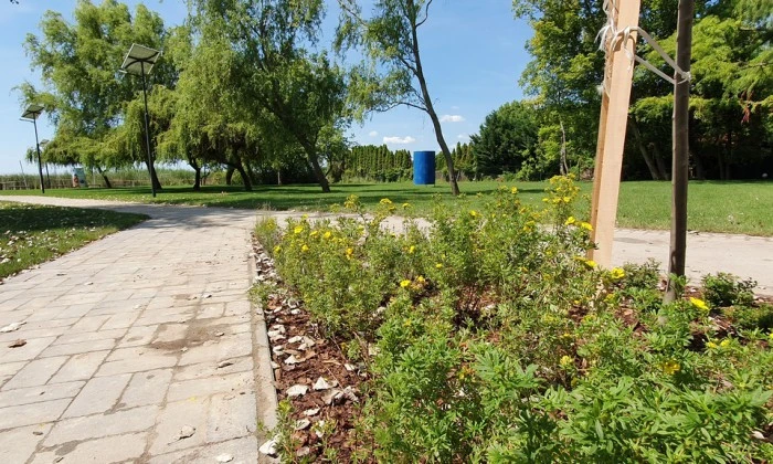 Balatonkenese - Egy strand családokra szabva_7